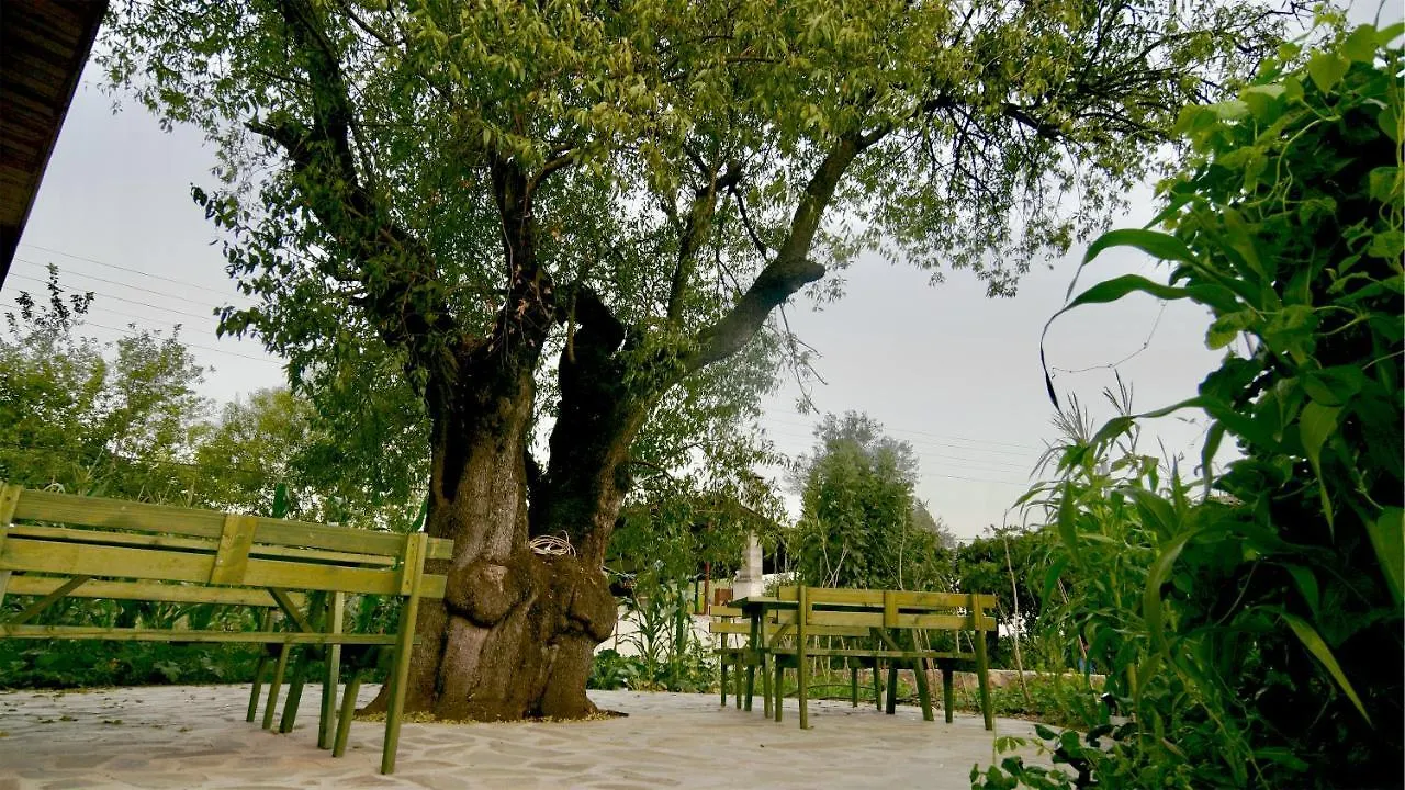 Dedehan Retreat Otel Mugla 0*,  Turkey