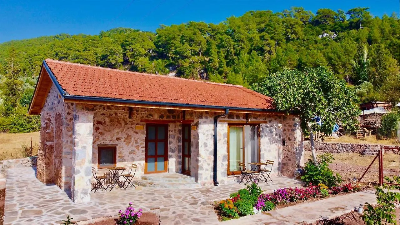 Dedehan Retreat Otel Mugla 0*,  Turkey